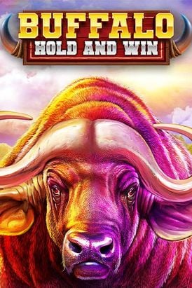 Buffalo Hold and Win